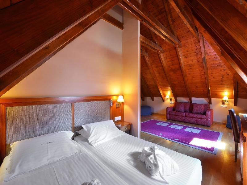 Hotel Spa Acevi Val D'Aran Vielha Eksteriør bilde